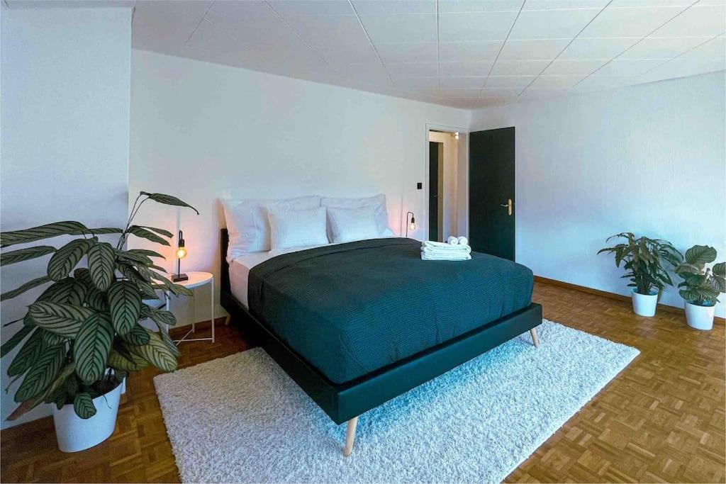 -The Urbanist- Mountainview Parking Garden 3Bd Villa Unterseen ภายนอก รูปภาพ